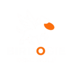 Birdogie Disc Golf Logo
